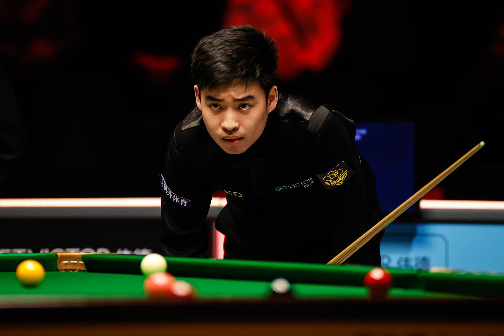 所以无论是 所以无论是