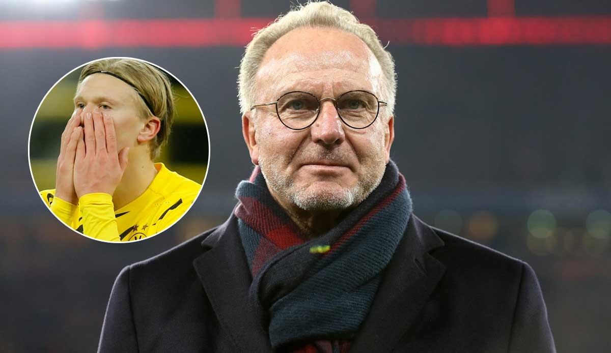 不得不跟 不得不跟